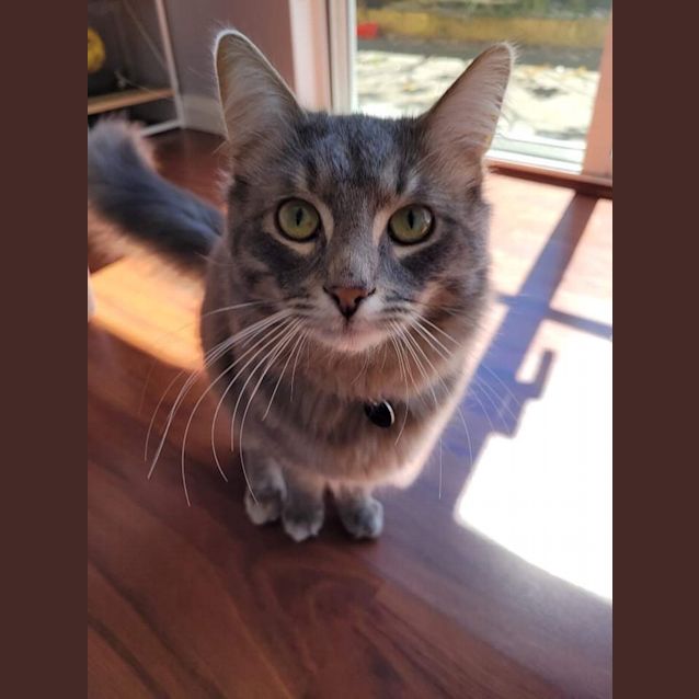 Photo of Ash