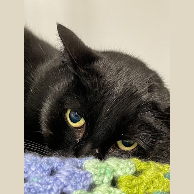 Photo of Sooty