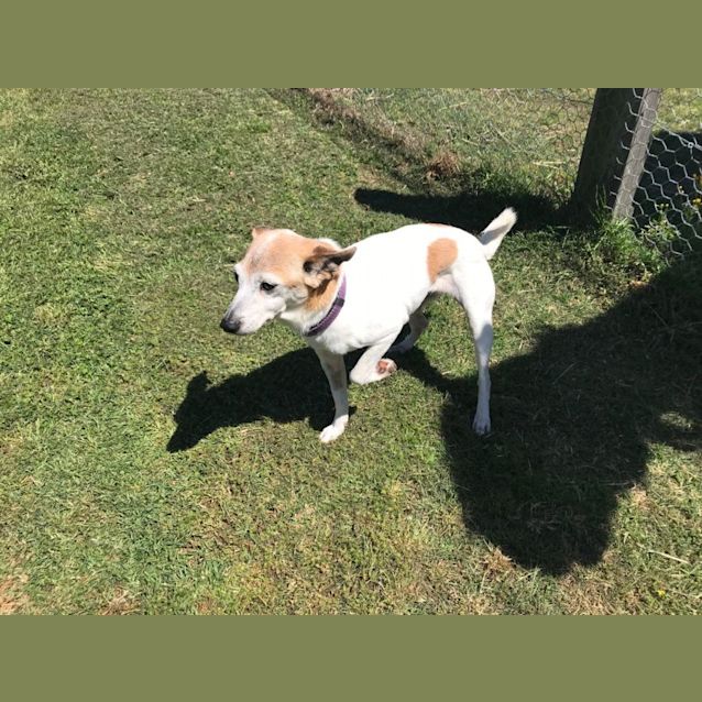 Photo of Roxie
