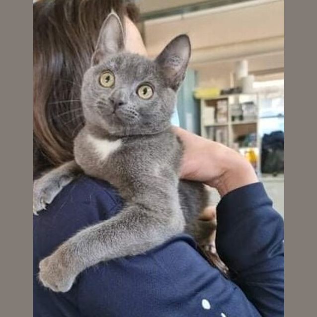 Photo of Cadbury