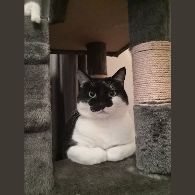 Photo of Beanie