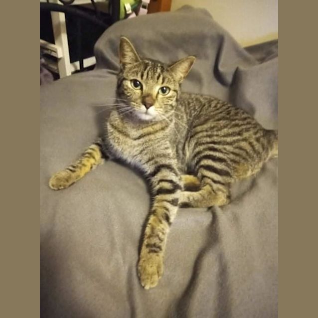 Photo of Coco
