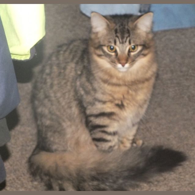 Photo of Pip And Squeak