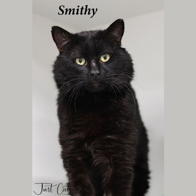 Photo of Smithy