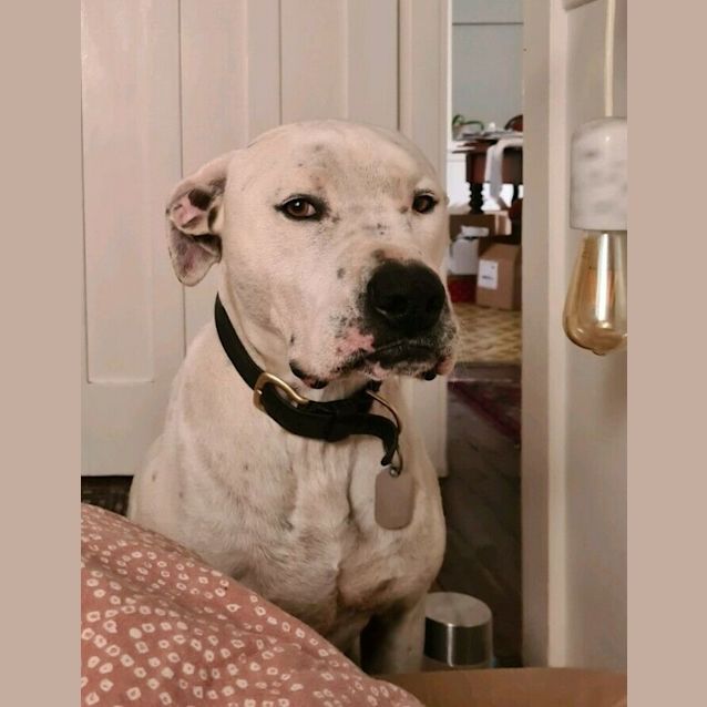 Photo of Flynn