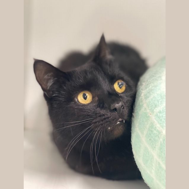 Photo of Lenny