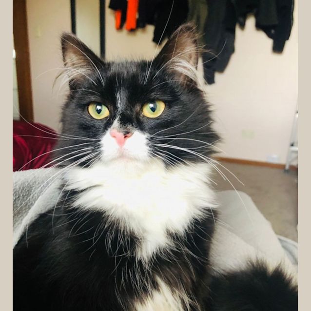 Photo of Nibbles