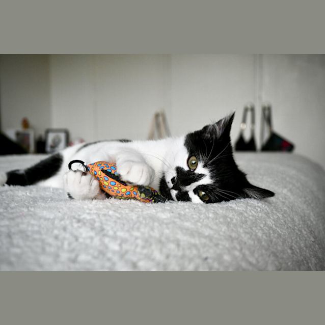 Photo of Mila (Now Gottmik)