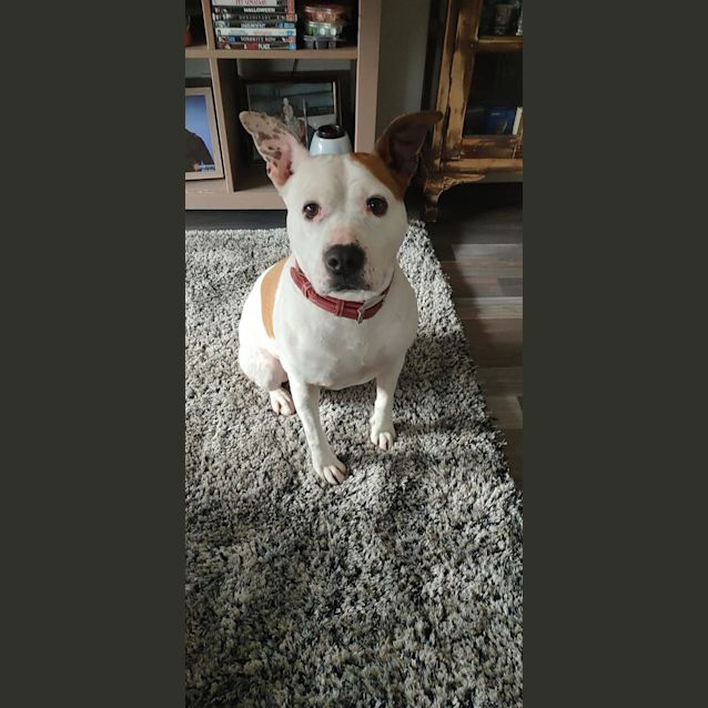 Photo of Karma Dl2588