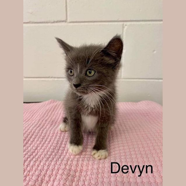 Photo of Devyn
