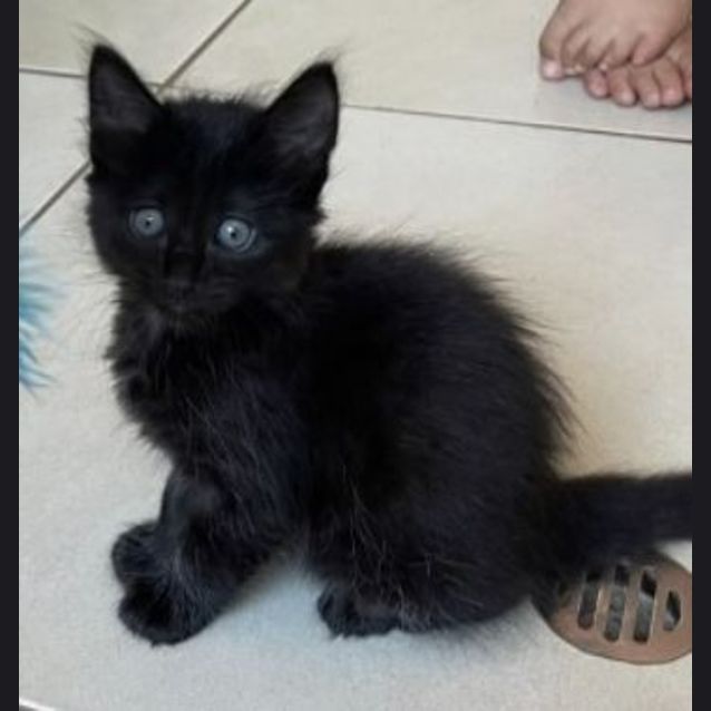 Photo of Bam Bam
