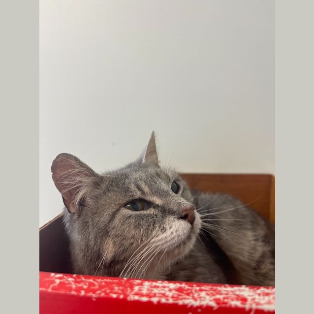 Photo of Cleo