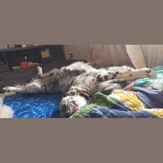 Photo of Bebe
