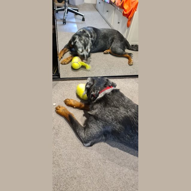 Photo of Missy