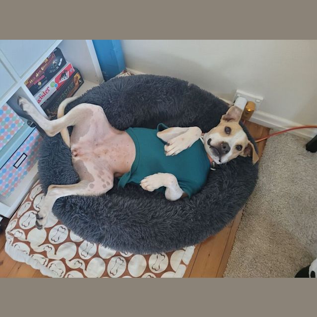 Photo of Lola