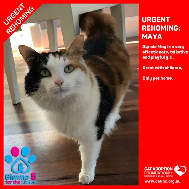 Photo of Maya