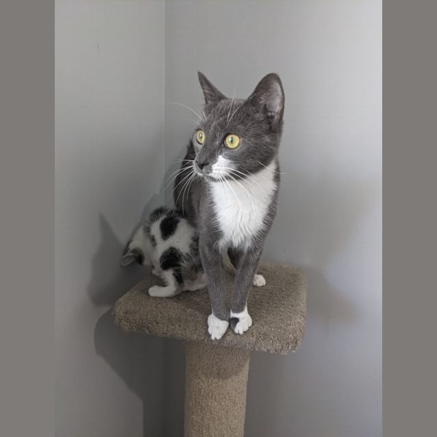 Photo of Ivy
