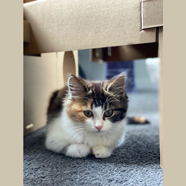 Photo of Blinky
