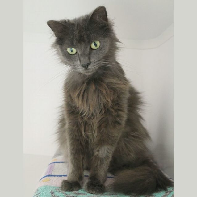 Photo of Holly Sua009048