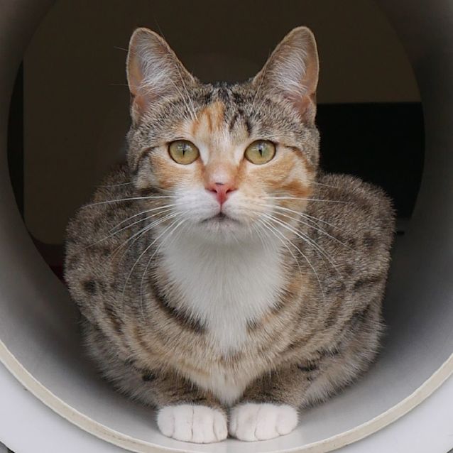 Photo of Buffy Rsuk008765