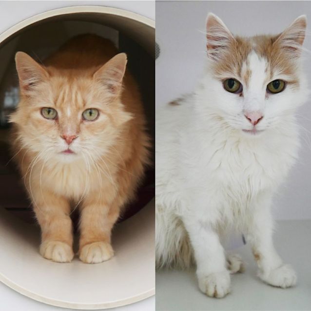 Photo of John & Sammy 