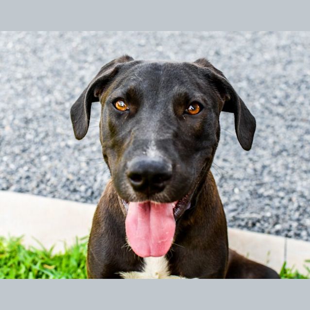 Photo of Coco