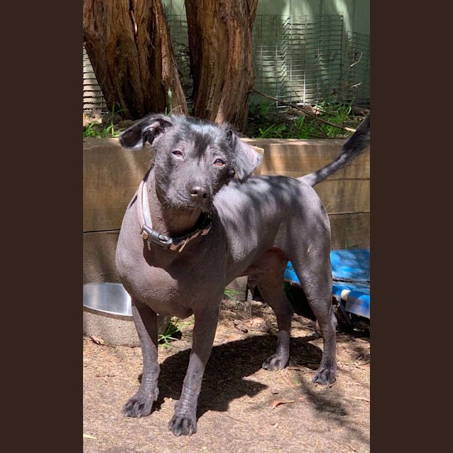 Photo of Jimmy & Ricky