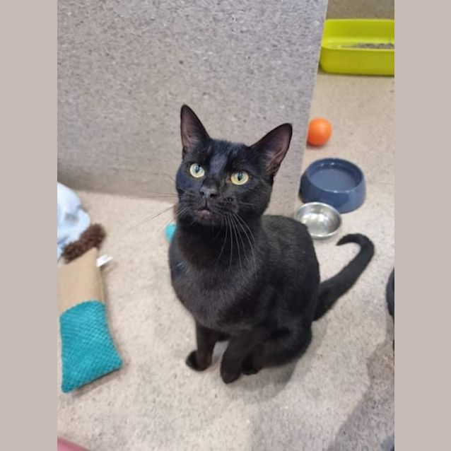 Photo of Jet
