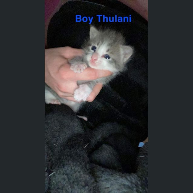Photo of Thulani