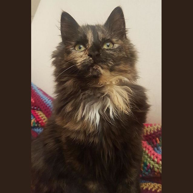 Photo of Millie