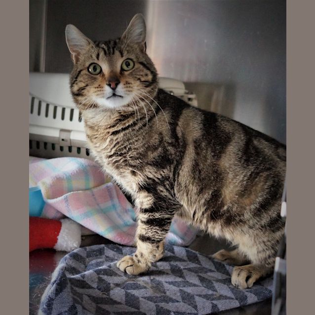 Photo of Spook