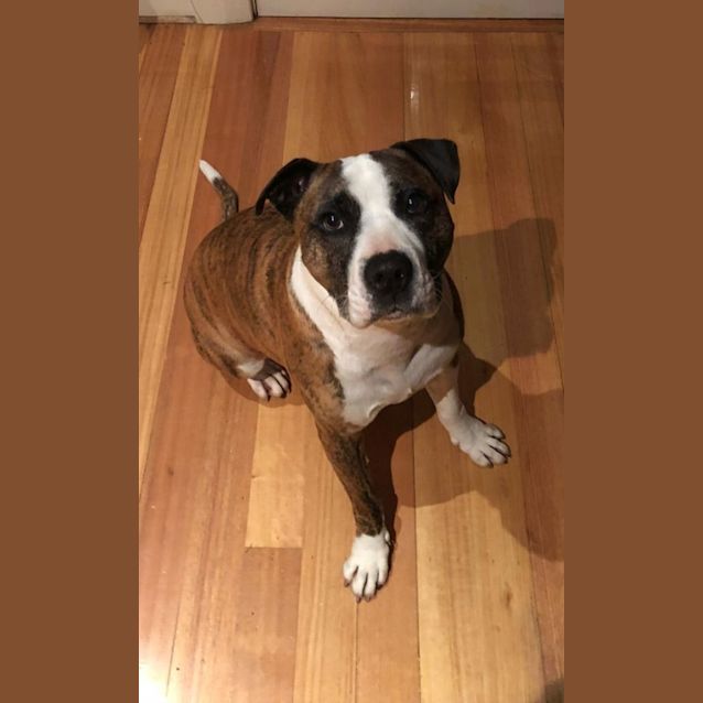 Photo of Axel