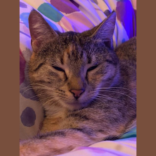 Photo of Abby