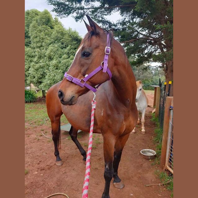 Photo of Andy   Total Sweetie