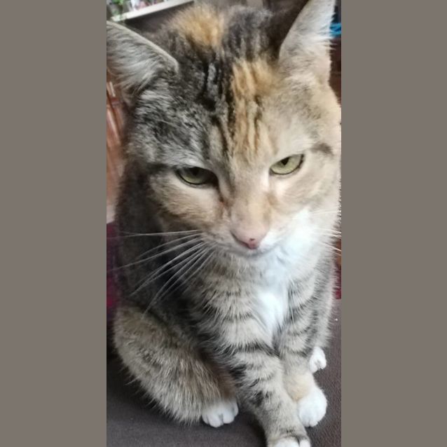 Photo of Spice   Located In Preston