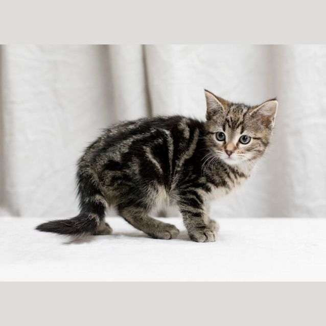 Photo of Olympia + Gia 