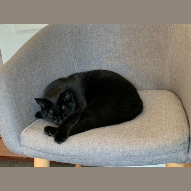 Photo of Felicia And Amber 