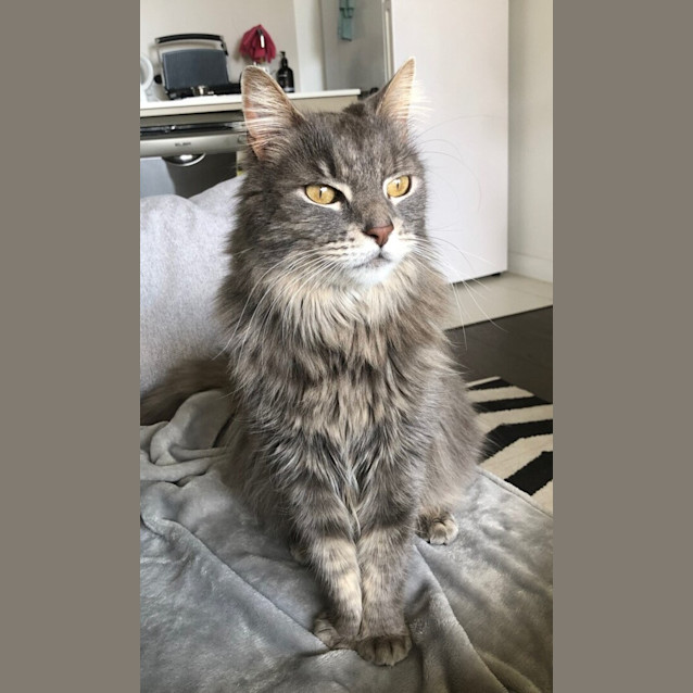 Photo of Jaffa