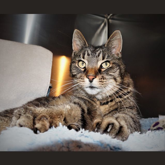 Photo of Tommy