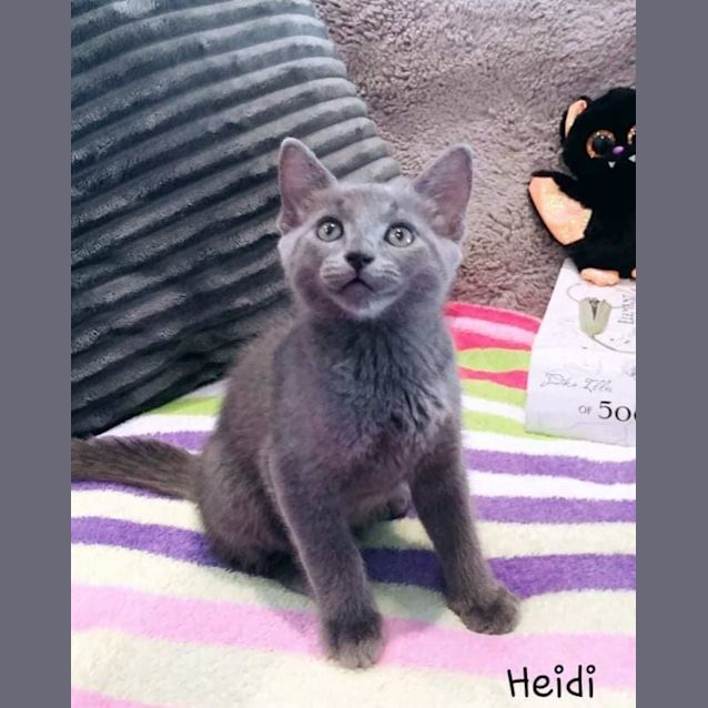 Photo of Heidi