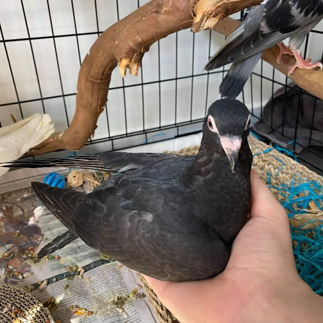 Photo of Vivian & Preston