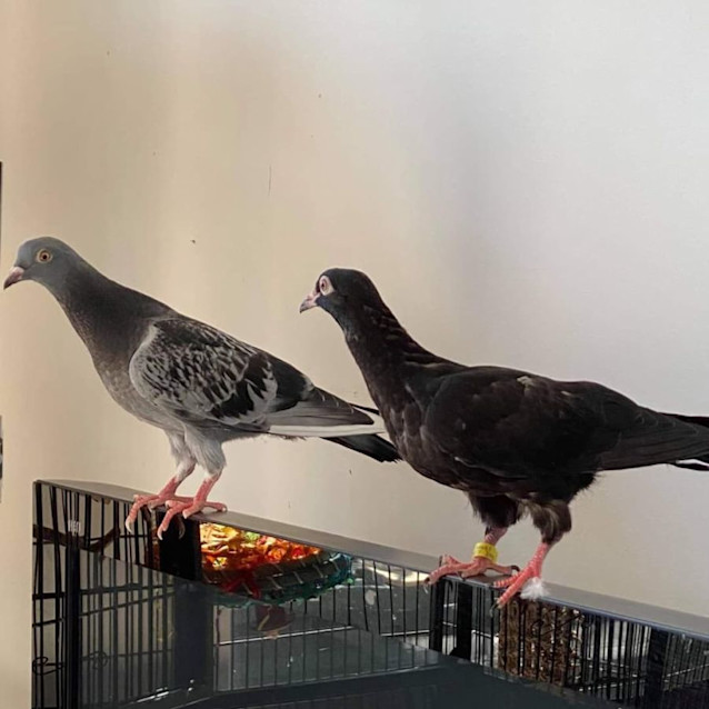 Photo of Vivian & Preston