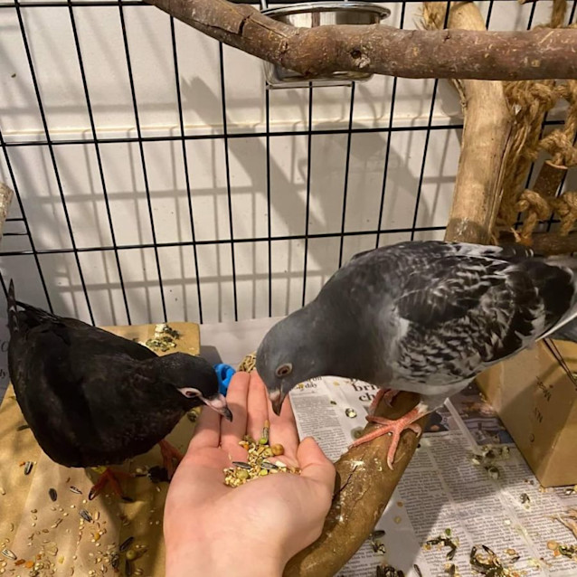 Photo of Vivian & Preston