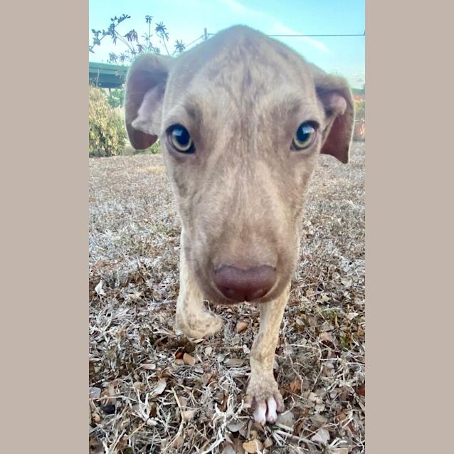 Photo of Little Miss