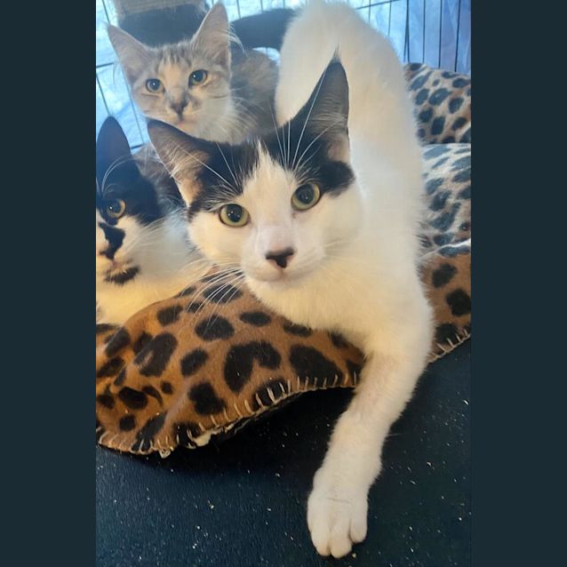 Photo of Edward South