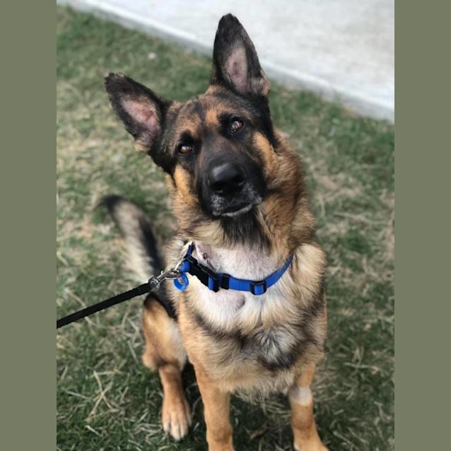 Photo of Hawkeye