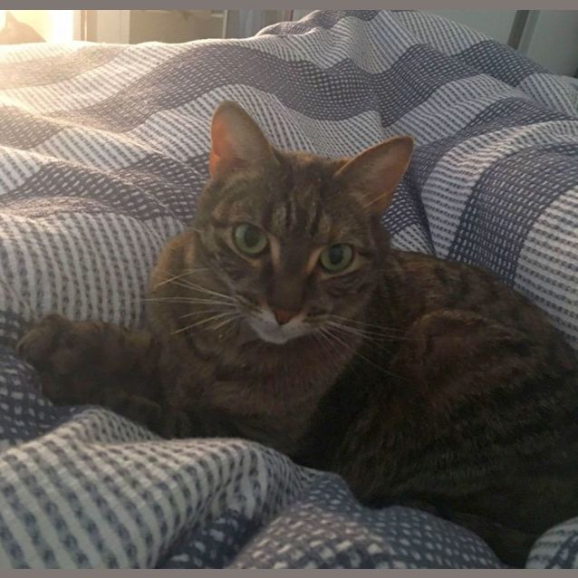 Photo of Evie And Bella