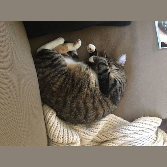 Photo of Evie And Bella