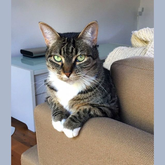 Photo of Evie And Bella