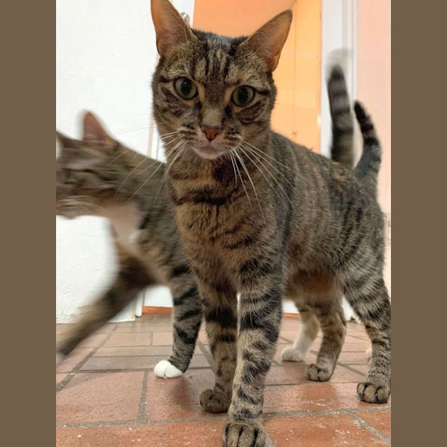 Photo of Evie And Bella